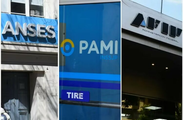 Pami, Anses y Afip continúan sin sus autoridades asignadas