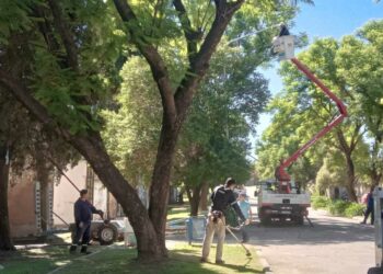 Desmalezamiento municipal luego del temporal