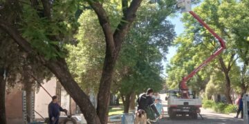 Desmalezamiento municipal luego del temporal