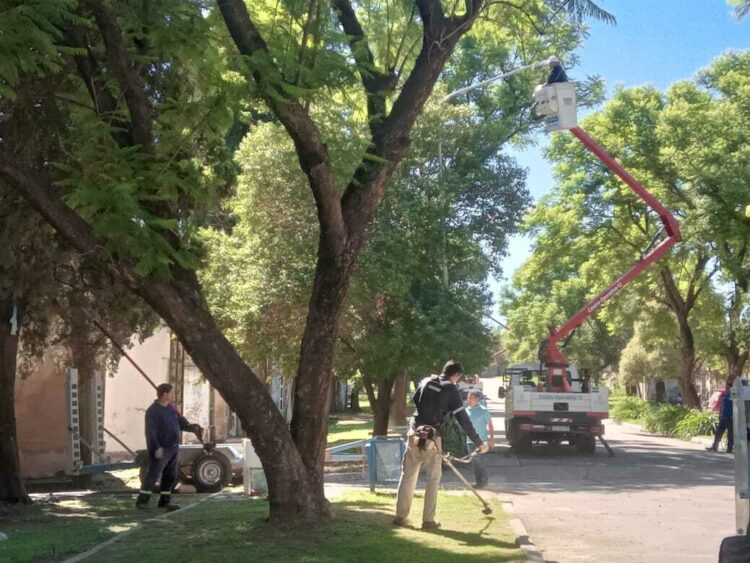 Desmalezamiento municipal luego del temporal