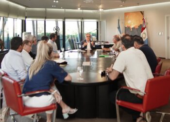 Biocombustibles: la Provincia alerta por un «lobby» de las petroleras