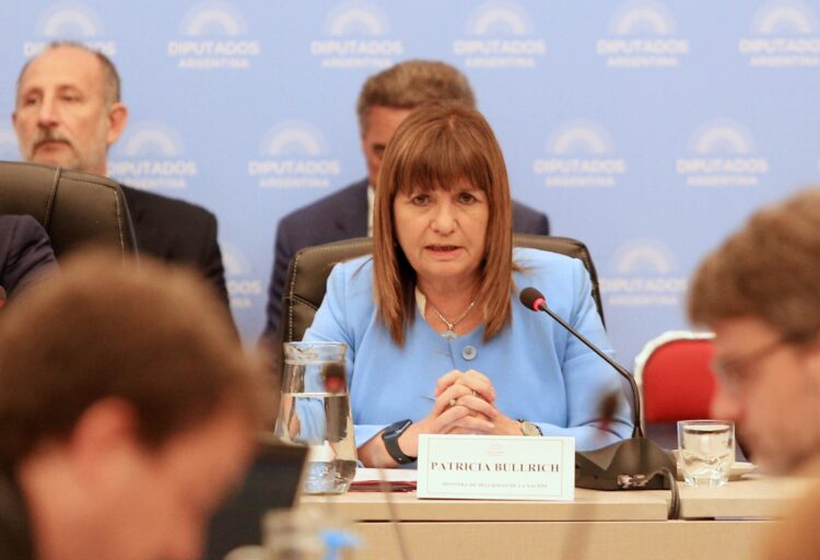 La ministra de seguridad Patricia Bullrich expuso en un plenario de Diputados.