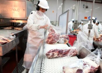 Ya no habrá restricciones para exportar cortes de carne vacuna