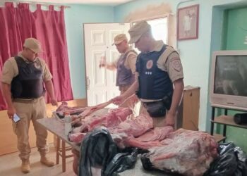 Secuestran más de 500 kilos de carne en dos operativos