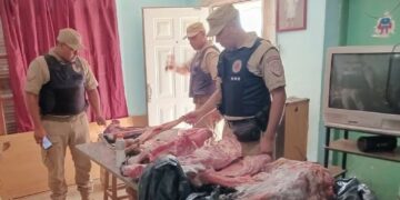 Secuestran más de 500 kilos de carne en dos operativos
