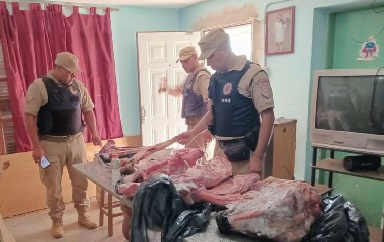 Ambos procedimientos se realizaron en localidades del interior de la provincia.