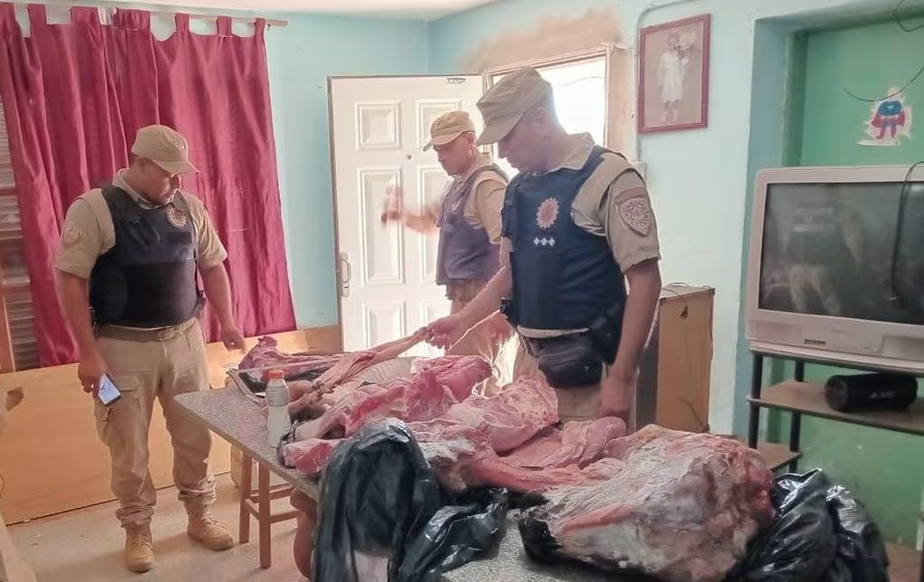 Secuestran más de 500 kilos de carne en dos operativos