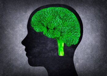 La influencia de la alimentación en la salud del cerebro