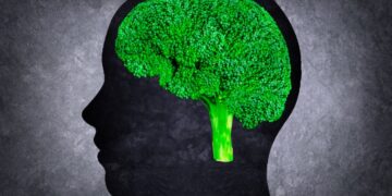 La influencia de la alimentación en la salud del cerebro