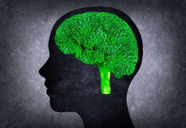 La influencia de la alimentación en la salud del cerebro