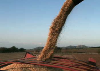 El Gobierno recaudará un 18% más por la suba de retenciones
