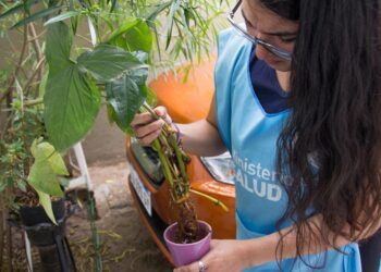 De 97 casos confirmados de dengue, nueve son autóctonos