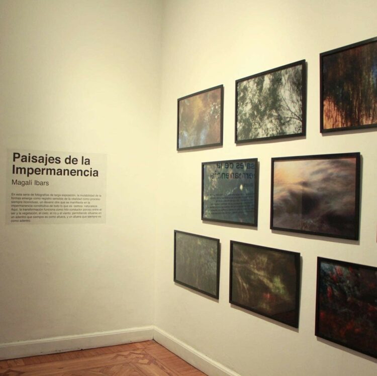 Piezas de “Paisajes de la impermanencia”, de la artista unquillense Magalí Ibars.
