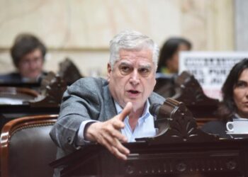 Gutiérrez denunció la modificación del dictamen acordado sobre biocombustibles