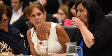 Desgarrador relato de la mamá de Chano en Diputados sobre adicciones y Salud Mental