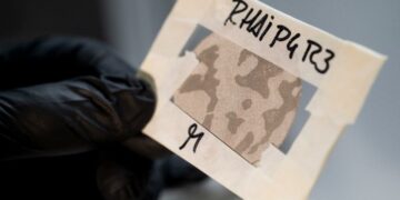 Del plancton al plato: el posible destino de los microplásticos que se estudian en la Antártida