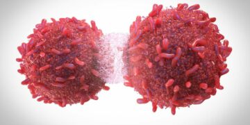 Hallan más de cien nuevos genes con predisposición al cáncer