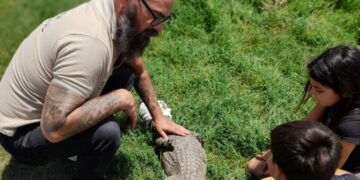 Policía Ambiental capturó un yacaré ñato en Río Ceballos