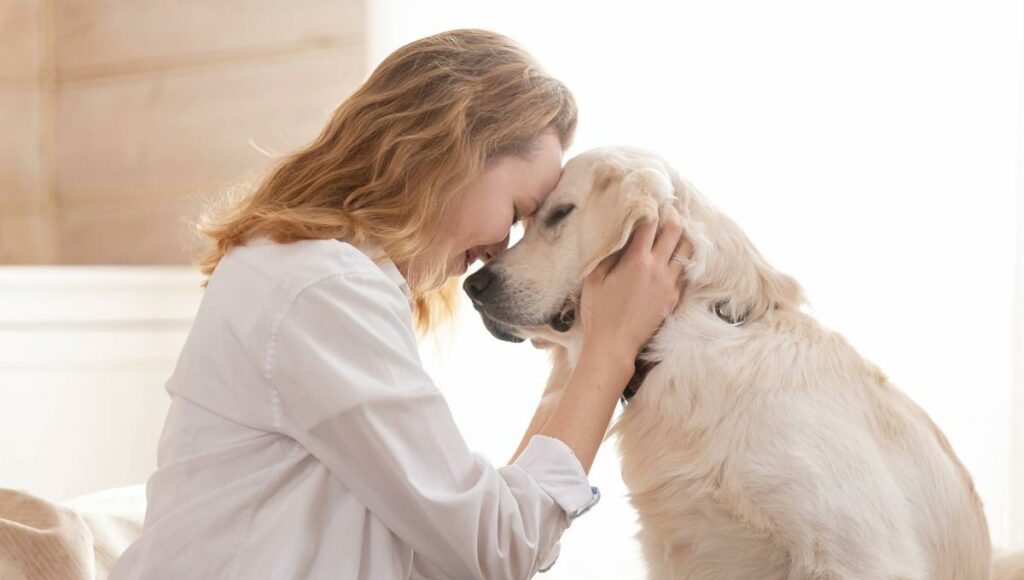 Cómo las mascotas elevan nuestra calidad de vida