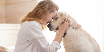 Cómo las mascotas elevan nuestra calidad de vida