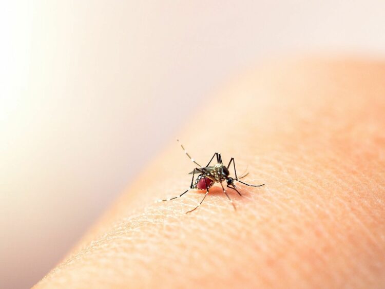 Se duplicaron los casos de dengue en una sola semana en Córdoba