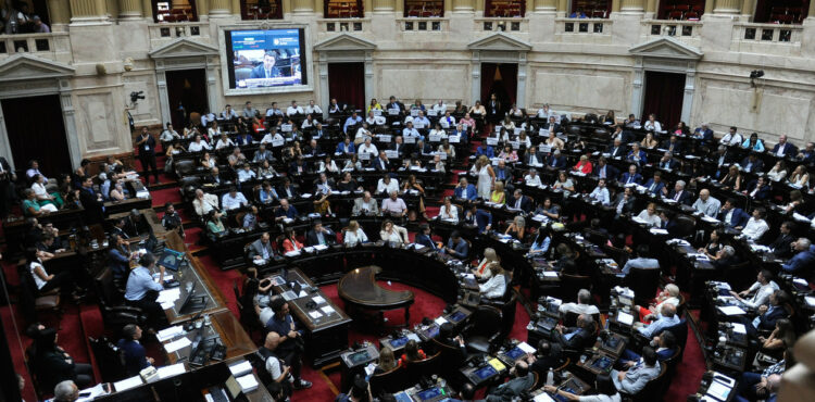 Sesión en la camara de Diputados
Ley Omnibus
Foto Federico Lopez Claro