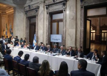 El libertario Pagotto es el nuevo presidente de la bicameral de DNU