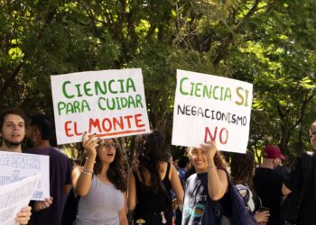 El Conicet redujo a la mitad el número de becas doctorales a publicar