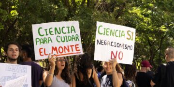 El Conicet redujo a la mitad el número de becas doctorales a publicar