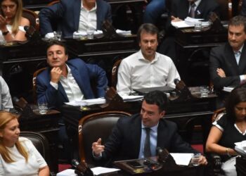 La Cámara baja define la Ley ómnibus sin ninguna certeza