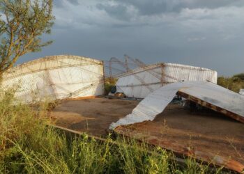 Árboles caídos y destrozos tras los fuertes vientos que vivió San Francisco del Chañar