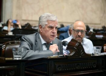 Ley ómnibus: Gutiérrez solicitó más recursos para la Provincia