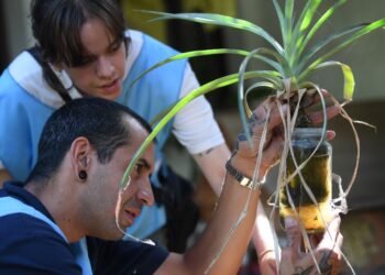 En la provincia ya hay 341 casos de dengue reportados