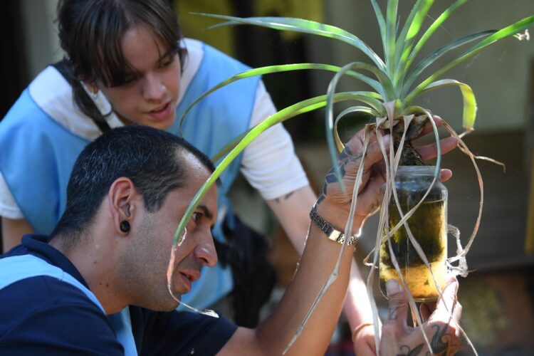 En la provincia ya hay 341 casos de dengue reportados