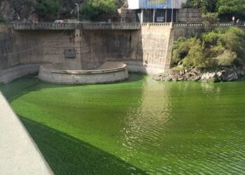 Carlos Paz: el Intendente alerta por la contaminación en el lago