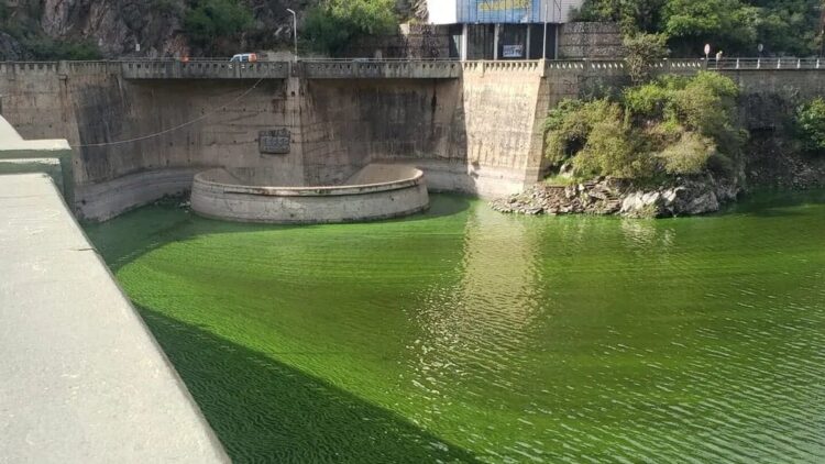 Carlos Paz: el Intendente alerta por la contaminación en el lago