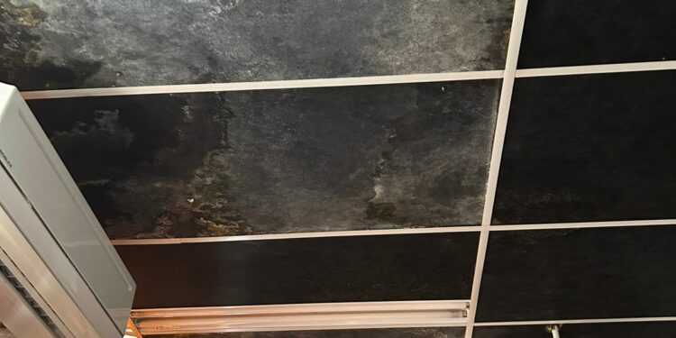 Advierten por fallas estructurales en la escuela Domingo Zípoli