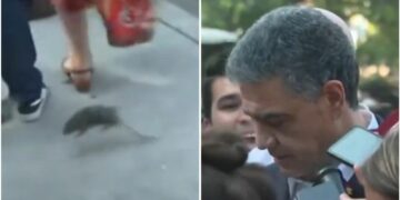 Momento insólito: una rata interrumpió a Jorge Macri, fue pateada por un hombre y se la comieron los perros
