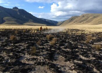 Continúa el combate del incendio en el Parque Nacional Nahuel Huapi