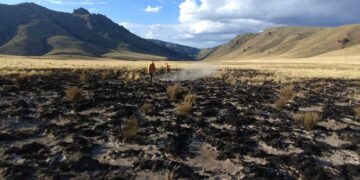 Continúa el combate del incendio en el Parque Nacional Nahuel Huapi