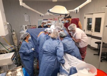 El 2023 cerró con más donantes