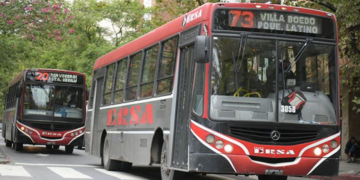 Tamse y Coniferal se repartirán las líneas a cargo de Ersa tras la salida de esta última