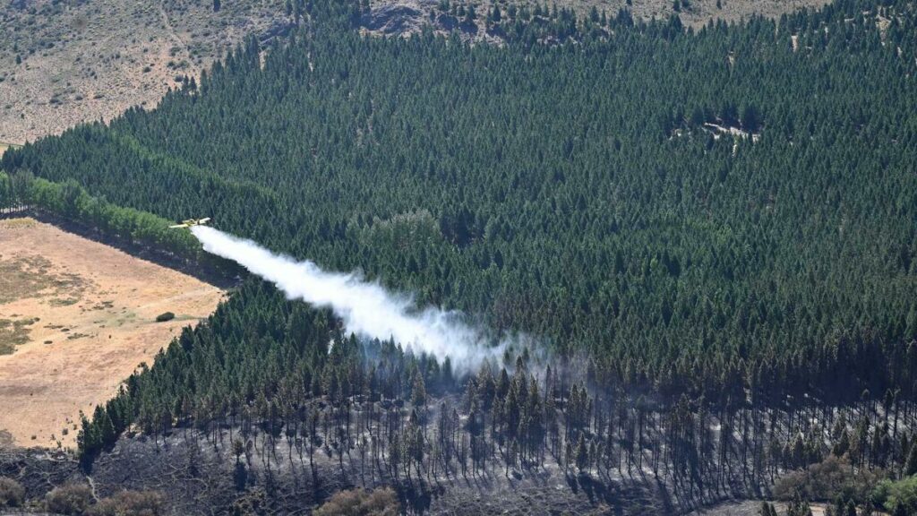 Afianzan el operativo para controlar el incendio en el Parque Nacional Nahuel Huapi