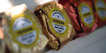 Alfajores de peperina, la innovación de una emprendedora cordobesa