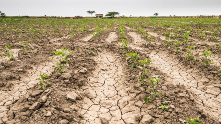 El posible regreso de "La Niña" podría generar un período de sequía a mitad de año