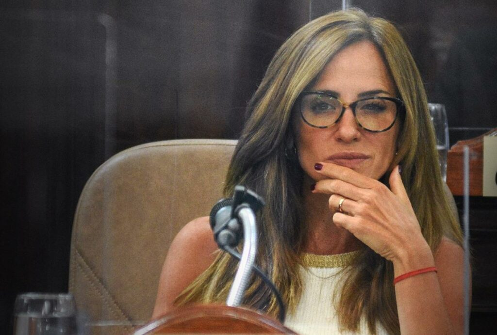 Diputados de UxP presentaron un proyecto para que sea ley el programa "Compra sin IVA" de Massa