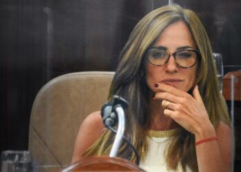 Diputados de UxP presentaron un proyecto para que sea ley el programa «Compra sin IVA» de Massa