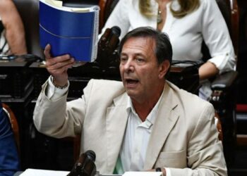 Zago planteó que el Gobierno evalúa dividir «en tres o cuatro leyes distintas» el proyecto ‘Bases’