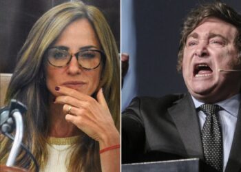 Una diputada denunció que el presidente Milei se aumentó un 48% su sueldo