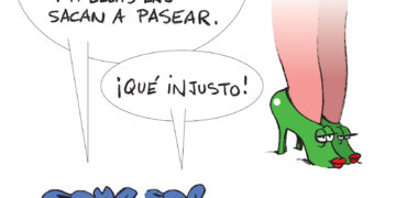 Mundo Cosa, en Hoy Día Córdoba